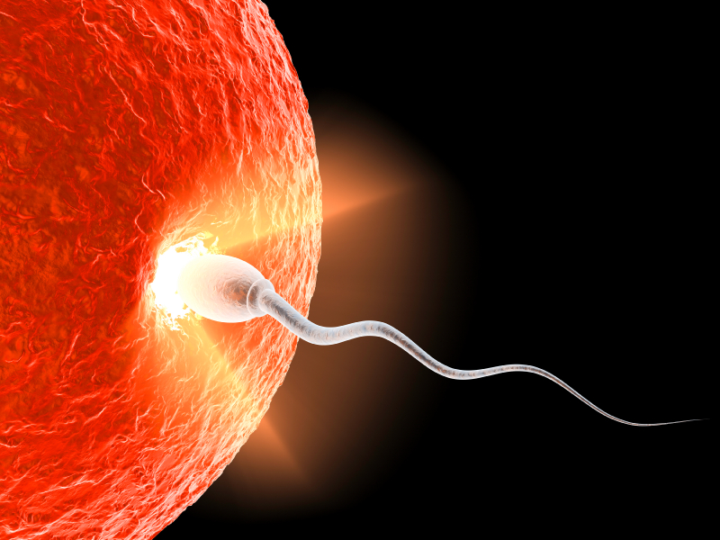 Acupuncture-Fertility-Infertility