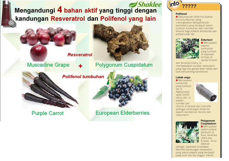 Bahan Aktif Vivix1 Bagaimana Resveratrol Membantu Pesakit Diabetes, Kanser & Jantung?   Kajian Saintifik Membuktikannya.