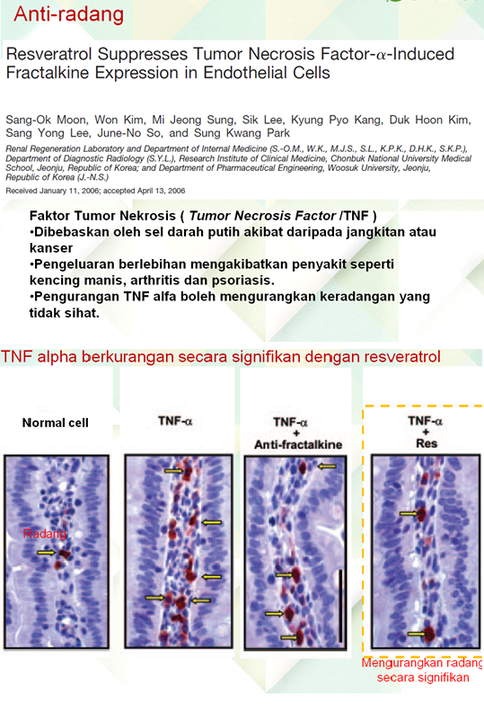 Vivix Anti Radang Bagaimana Resveratrol Membantu Pesakit Diabetes, Kanser & Jantung?   Kajian Saintifik Membuktikannya.