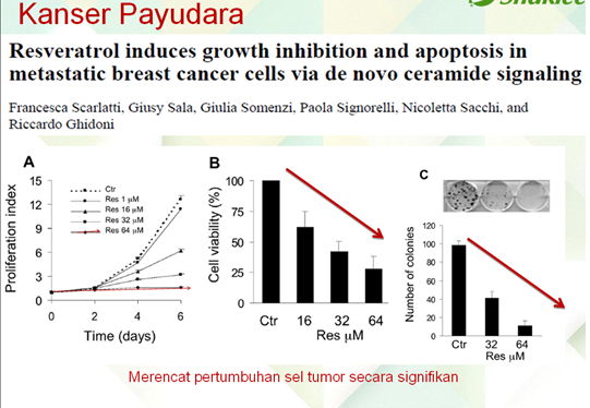 Vivix Kanser Payudara Bagaimana Resveratrol Membantu Pesakit Diabetes, Kanser & Jantung?   Kajian Saintifik Membuktikannya.